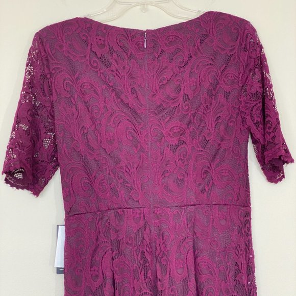 NWT Adrianna Papell Stretch Lace/Sequins Formal Dress, Rich Raisin, 4 - Picture 5 of 9